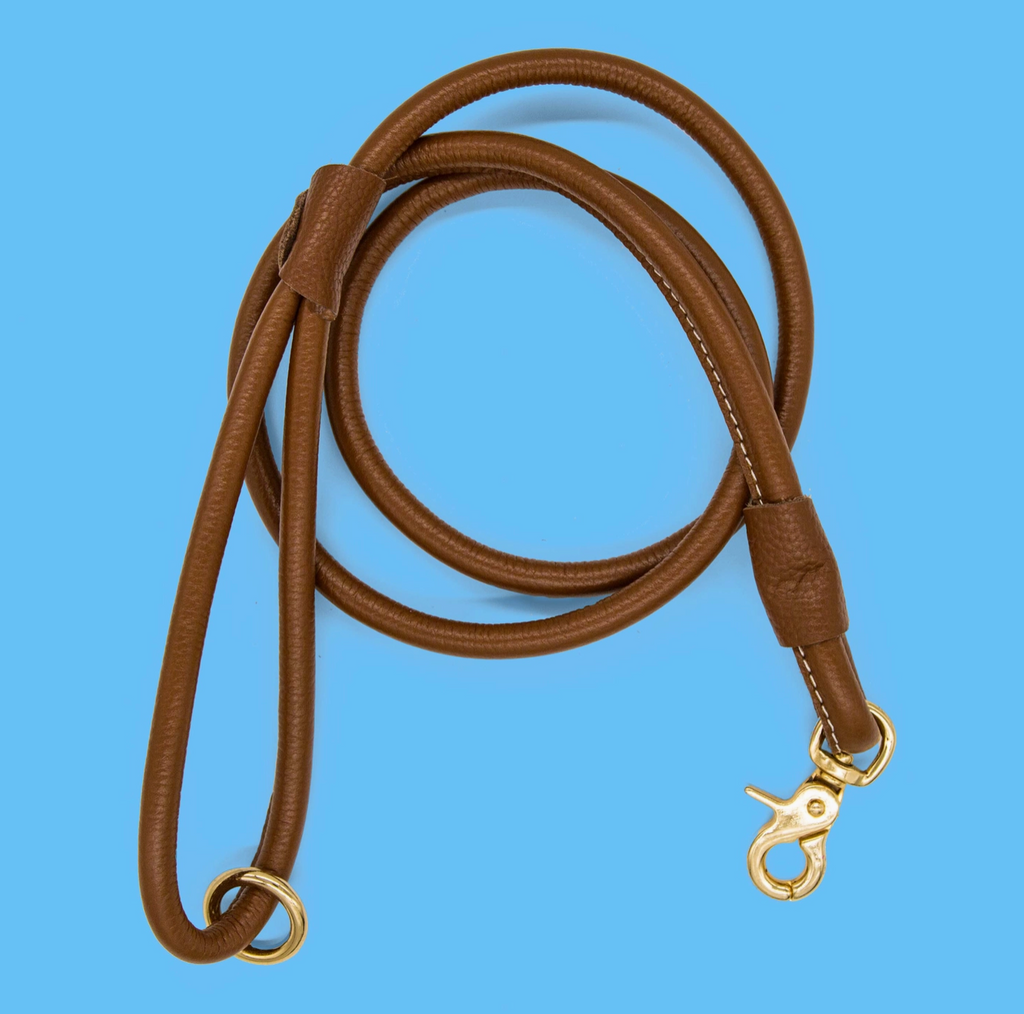 Chic Leather Leash - Brown