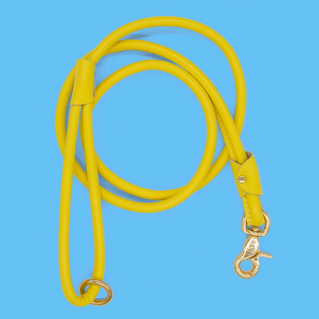 Chic Leather Leash- Yellow