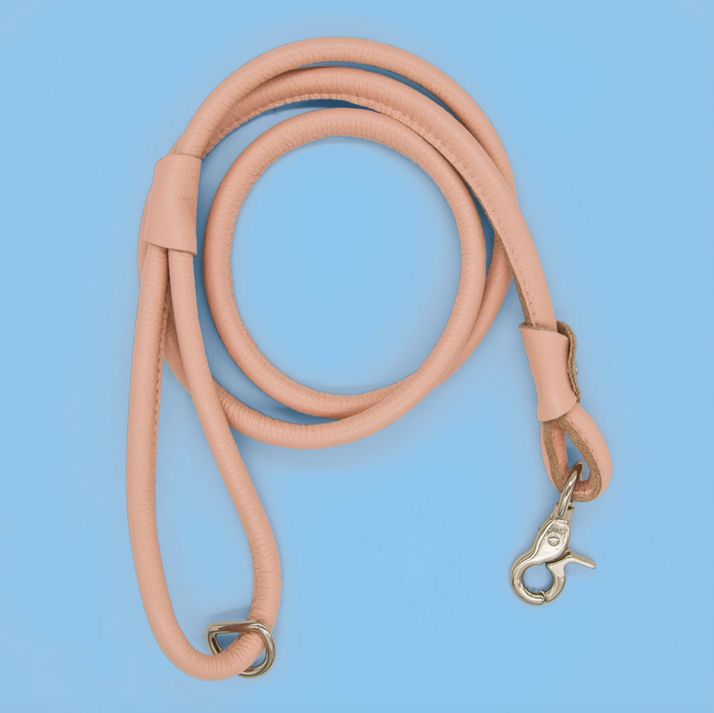Chic Leather Leash- Nude