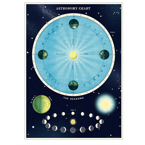 Cavallini Wrap Astronomy Chart