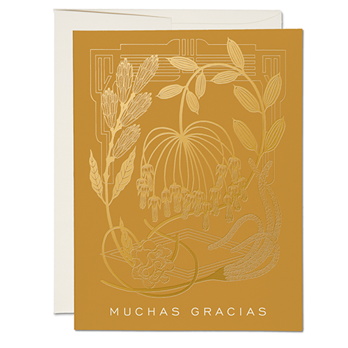 Card Muchas Gracias