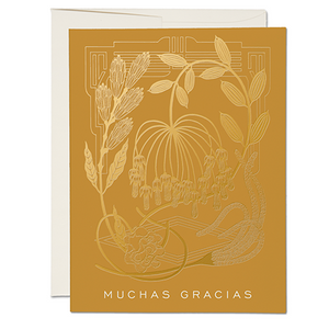 Card Muchas Gracias