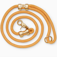 Laisse pour chien en corde marine Goldenrod