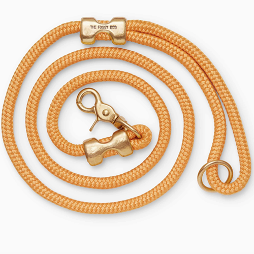 Laisse pour chien en corde marine Goldenrod