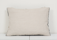 Coussin en soie ikat Tiger 16x24