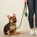 Laisse pour chien en corde marine Evergreen