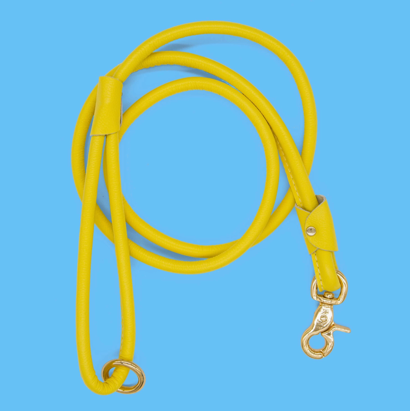 Chic Leather Leash- Yellow