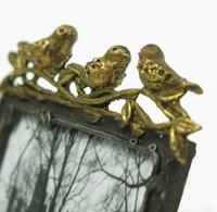 Bird Frame