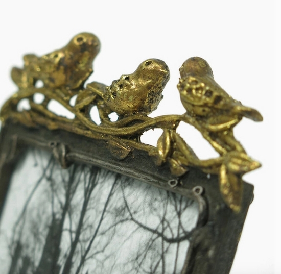 Bird Frame