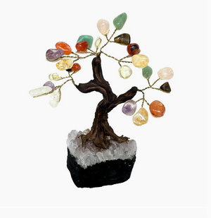 Arbre à argent Feng Shui