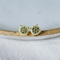 Glee Bedazzle Studs Vert Mousse