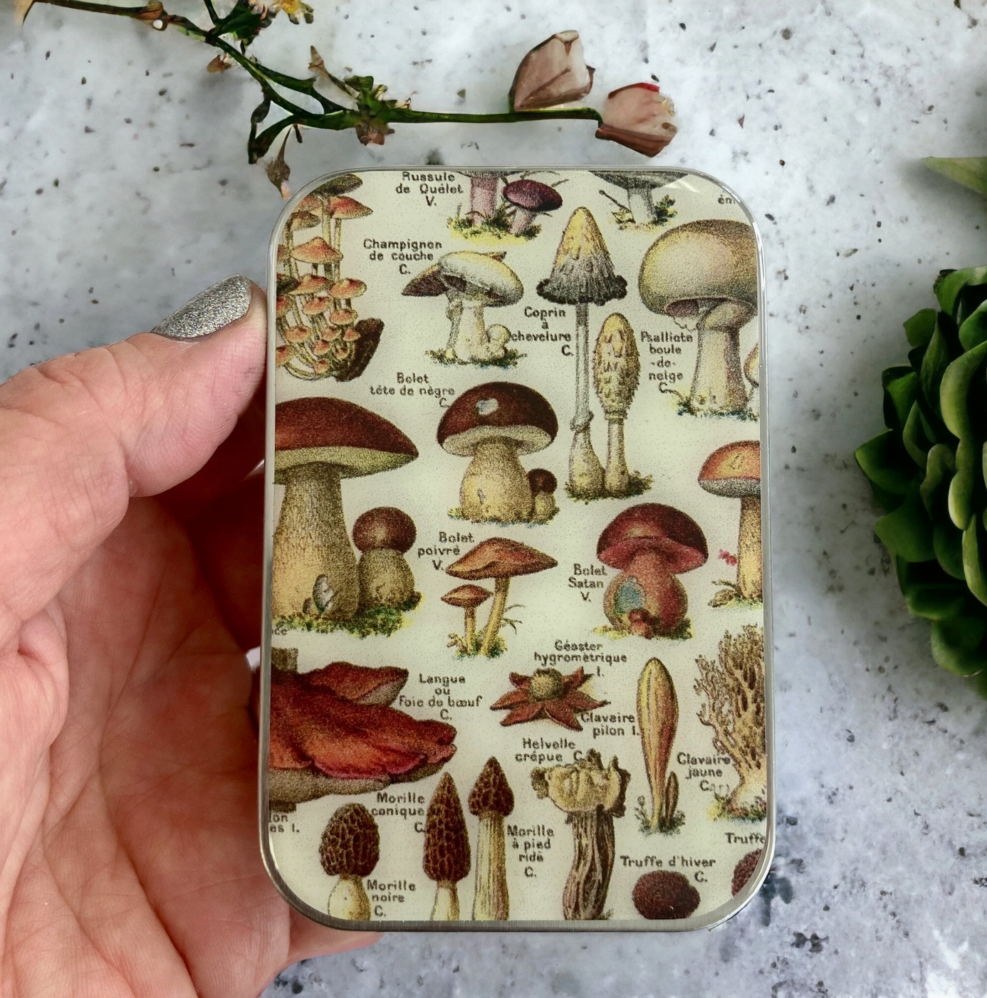 Mushroom Tin