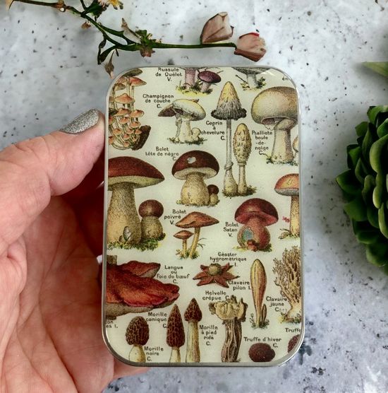 Mushroom Tin