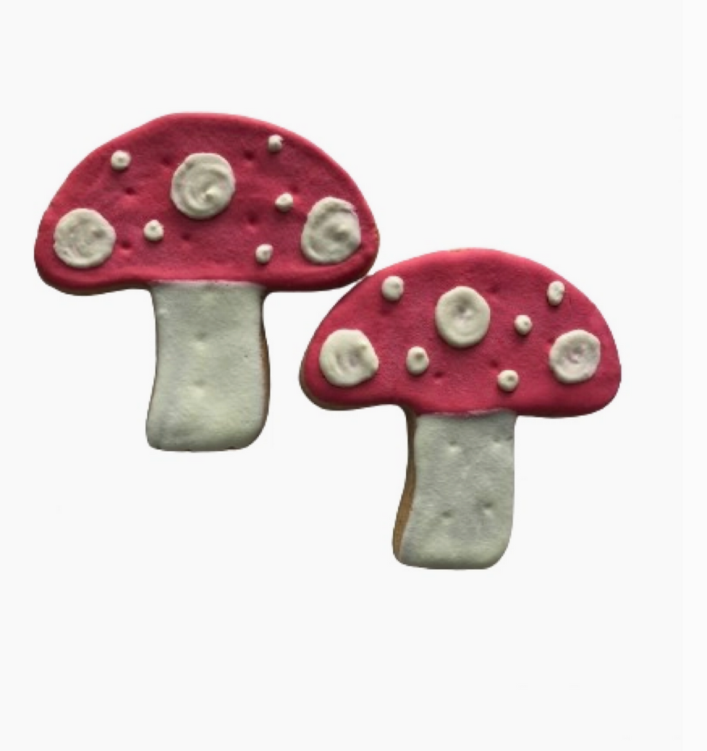 Mushroom Dog Treat