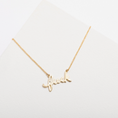 Larissa Loden F**k Necklace
