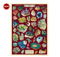 Cavallini Wrap Field Guide To Minerals