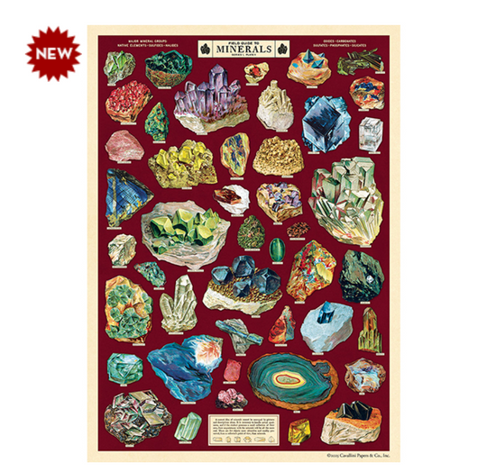 Cavallini Wrap Field Guide To Minerals