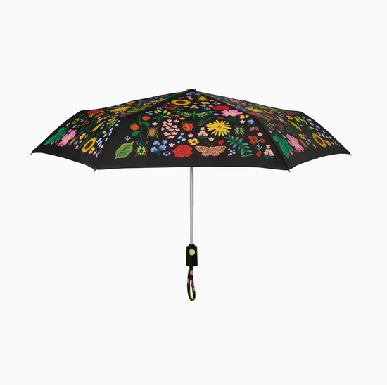 Curio Umbrella