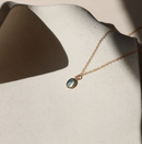 Token Abalone Pendant