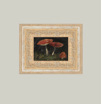 Vintage Mushrooms