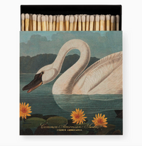 Safety Matches Swan