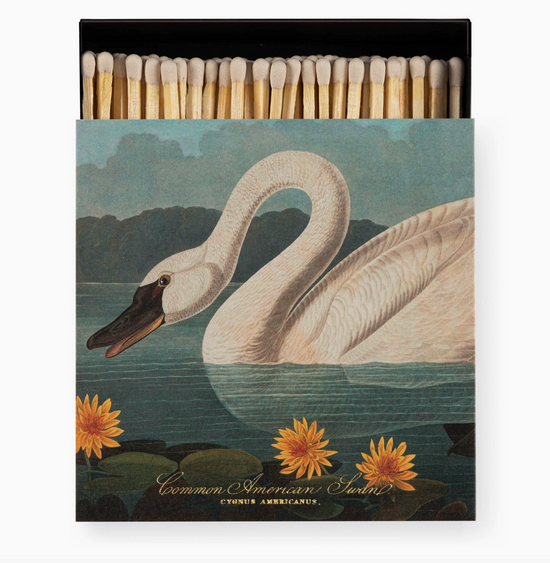 Safety Matches Swan