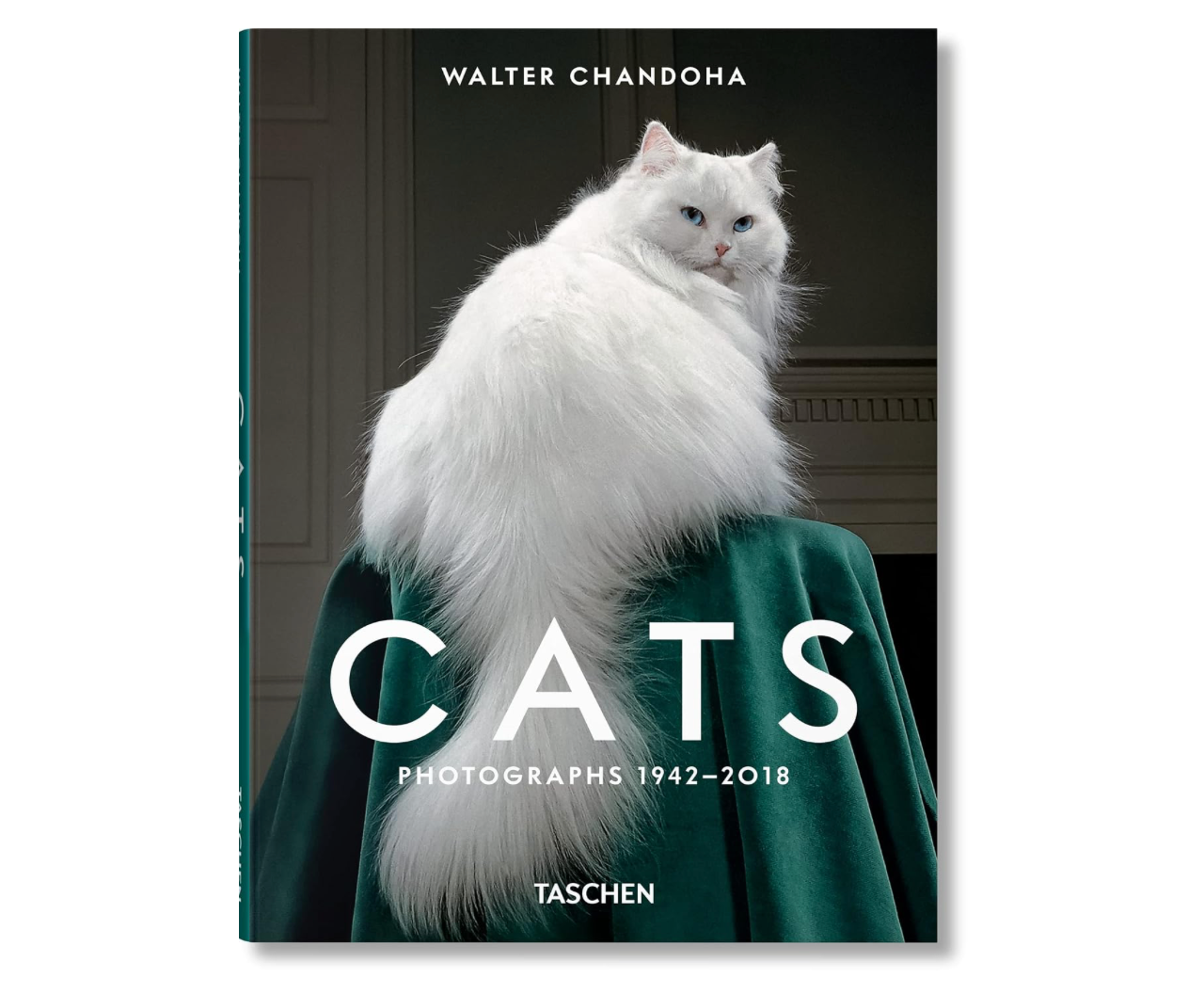 Cats Photographs 1942-2018
