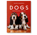 Dogs Photographs 1941-1991