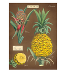 Cavallini Wrap Pineapples