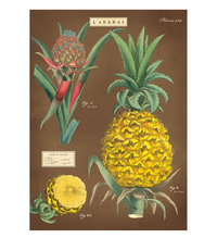 Cavallini Wrap Pineapples