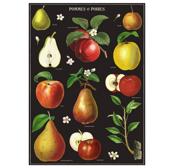 Cavallini Wrap Apples & Pears