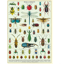 Cavallini Wrap Bugs & Insects