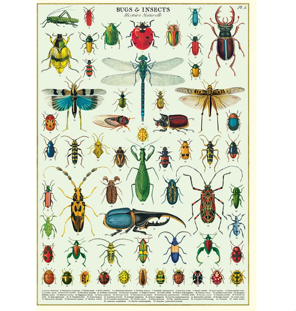 Cavallini Wrap Bugs & Insects