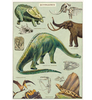 Cavallini Wrap Dinosaurs
