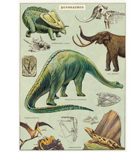 Cavallini Wrap Dinosaurs