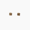 Michelle Starbucks Clover Starburst Studs