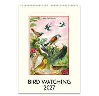 Cavallini Wall Calendar Bird Watching