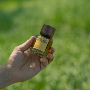 Paraphrase Fragrance Grasslands