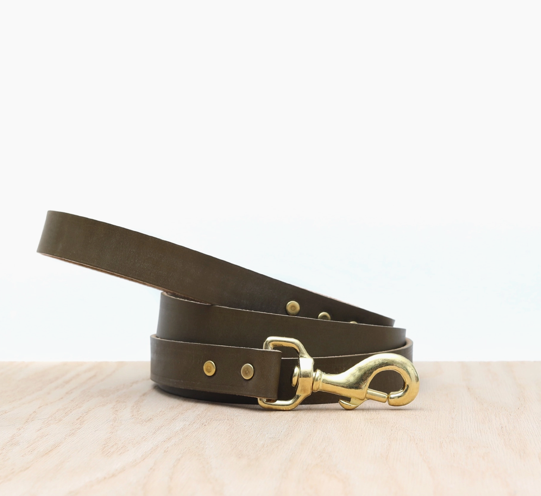 Leather Dog Leash