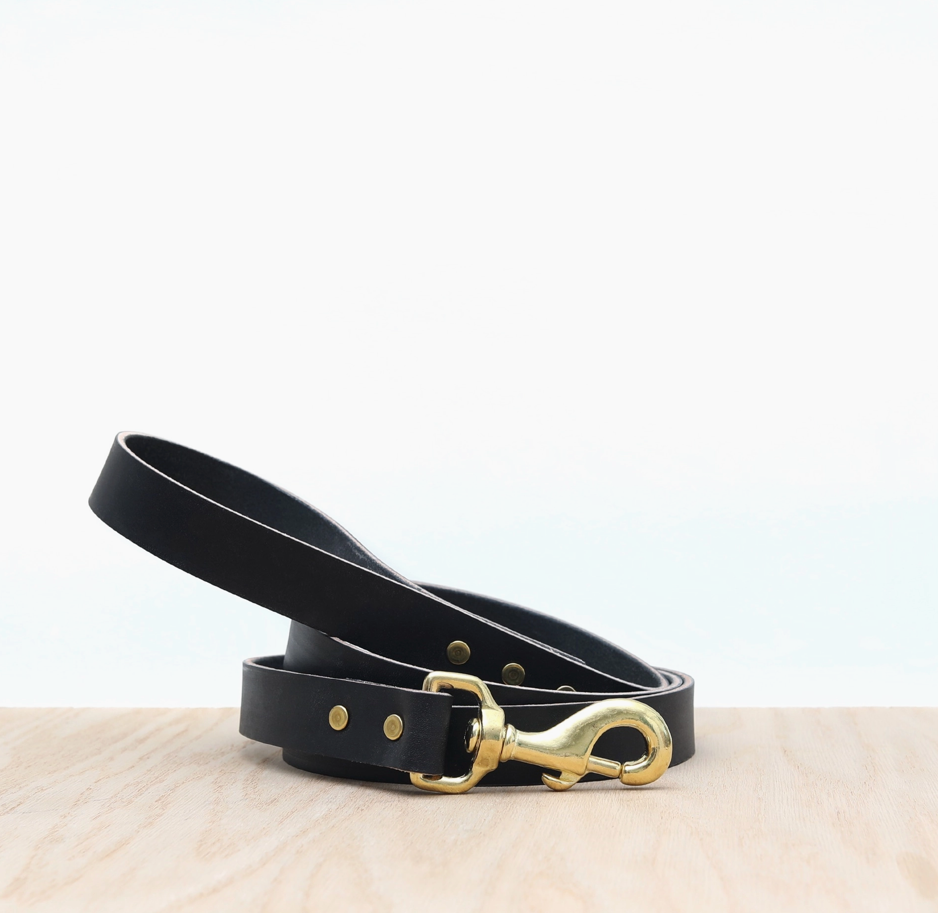 Leather Dog Leash