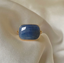 Sophie Deschamps Sita Ring