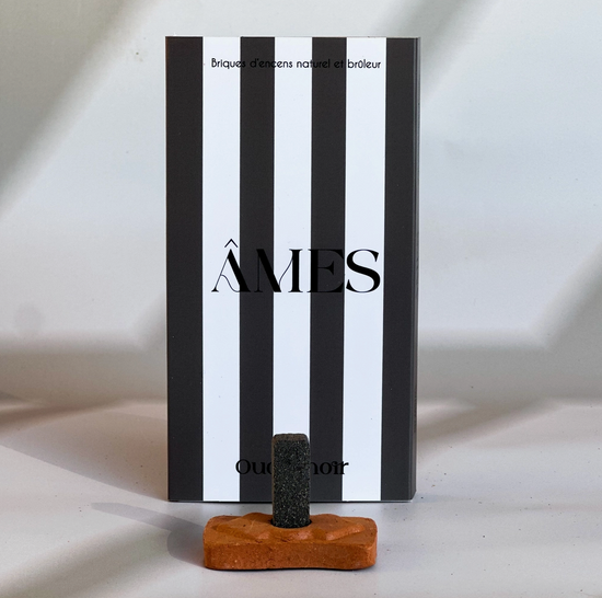 Ames Natural Incense Bricks & Burner