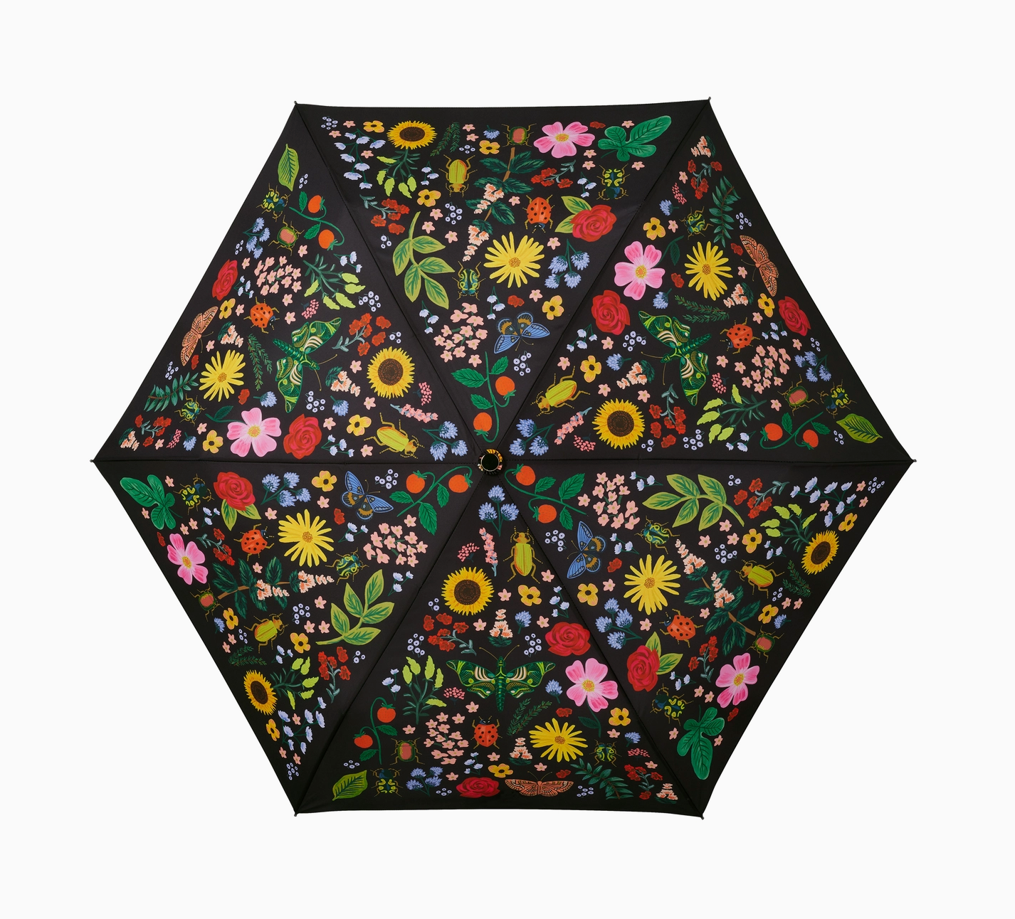 Curio Umbrella