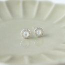 Glee Odette Studs
