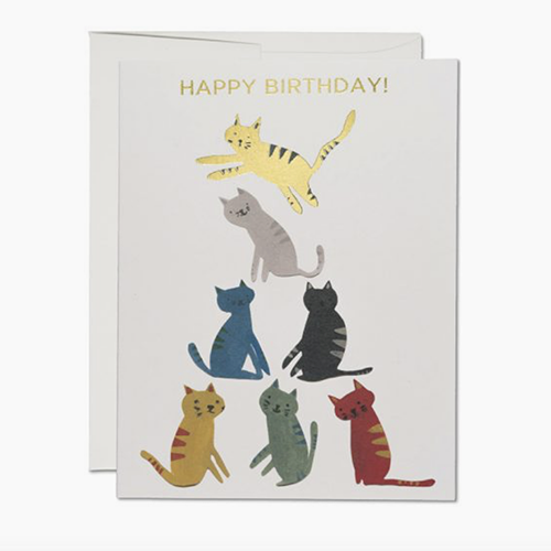 Carte de Chat Doré