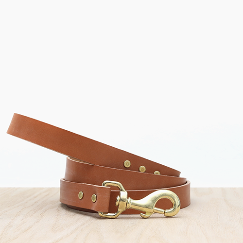 Leather Dog Leash