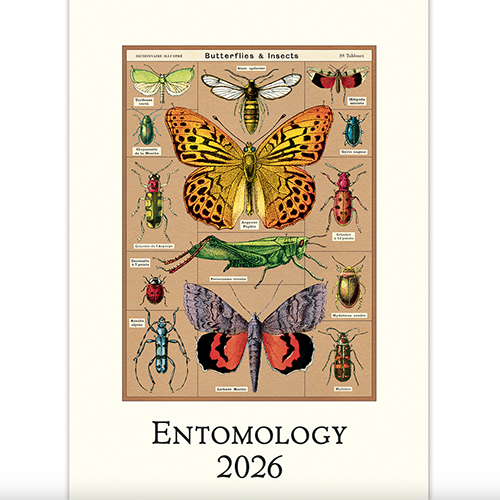 Cavallini 2026 Calendar Entomology