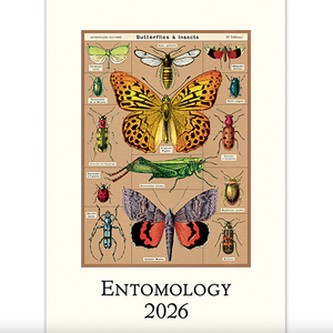 Cavallini 2026 Calendar Entomology
