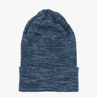Beanie Pixel Cascade