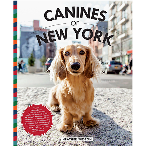 Canines Of New York